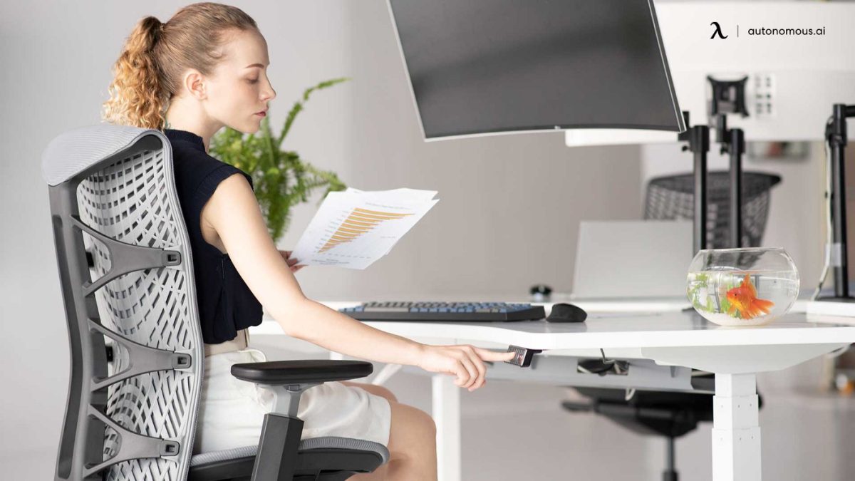 Ergonomic Office Accessories-Consider That Your Chair Has Proper Lumbar Support