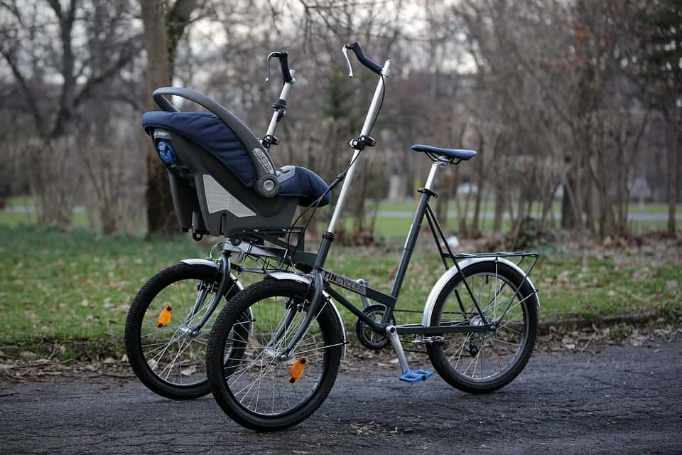 Adult Tricycle
