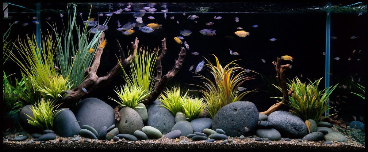 What are Aquarium Air Stone Ornaments?