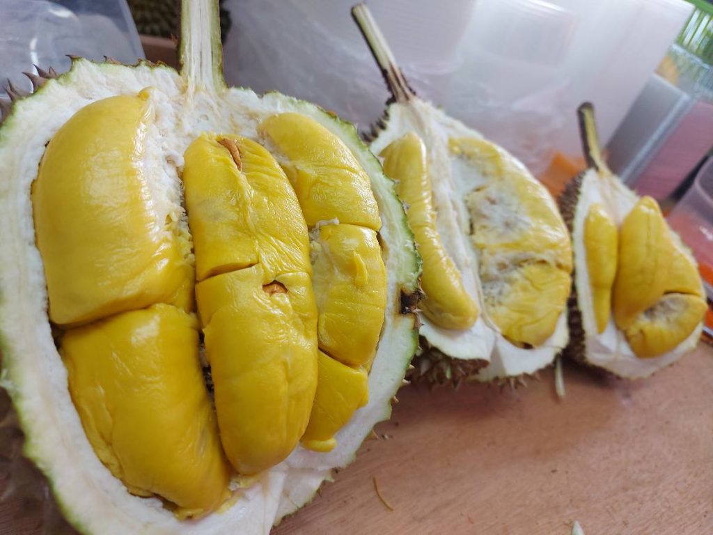 durian mao shan wang